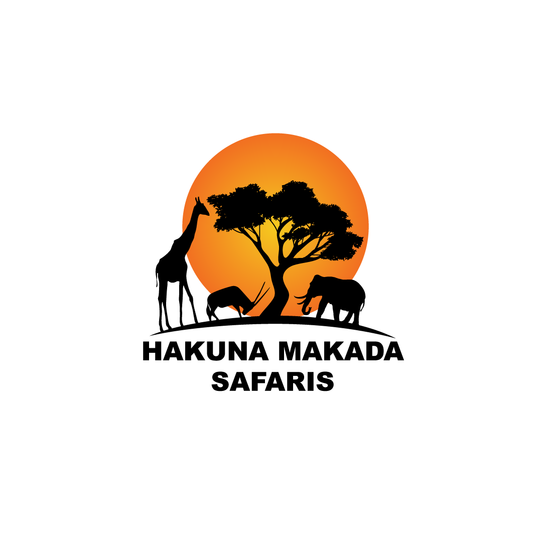 logo safari voyage