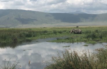 Paysage Ngorongoro