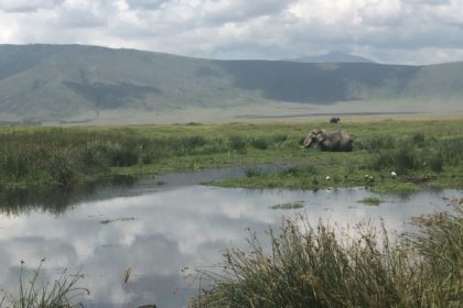 Paysage Ngorongoro