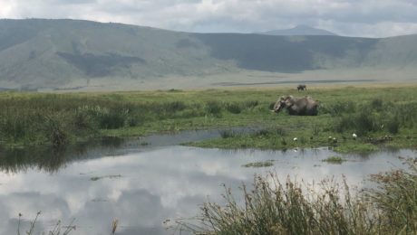 Paysage Ngorongoro